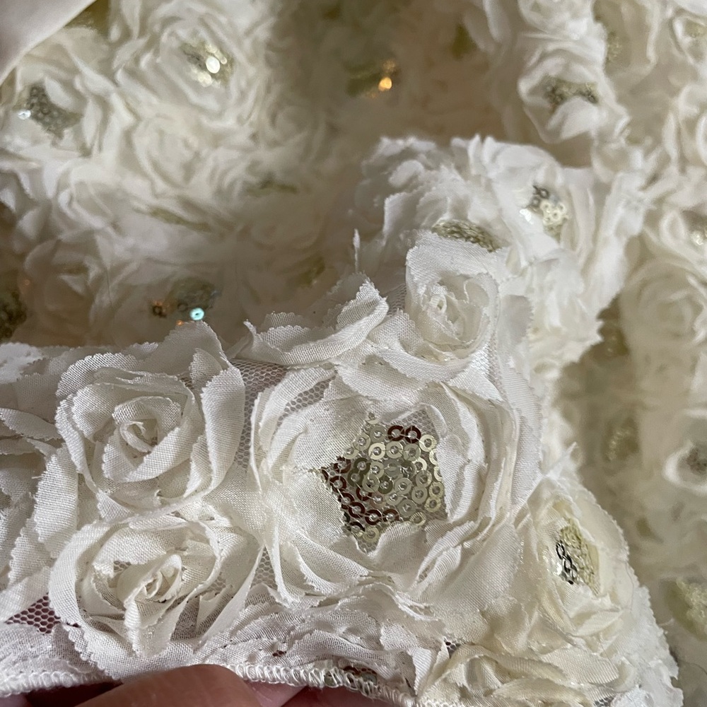 Beautiful dress! Great for Christmas! Smoke free home - Picture 3 of 3